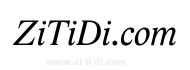 LidoSTF-Italic