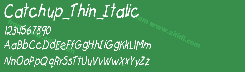 Catchup_Thin_Italic字体预览