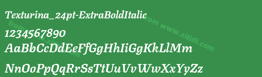 Texturina_24pt-ExtraBoldItalic字体预览