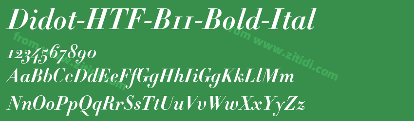 Didot-HTF-B11-Bold-Ital字体预览