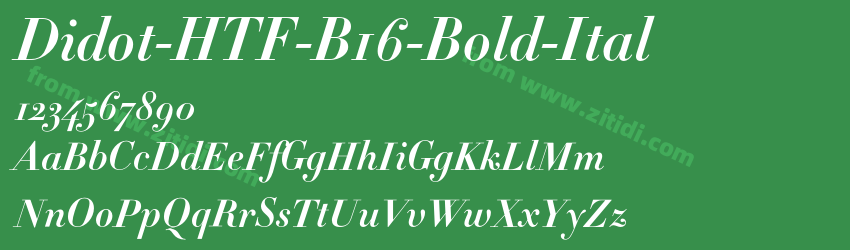 Didot-HTF-B16-Bold-Ital字体预览