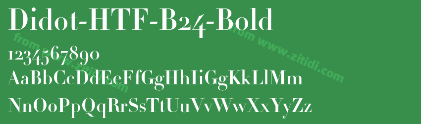 Didot-HTF-B24-Bold字体预览