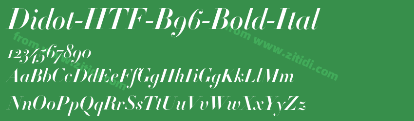 Didot-HTF-B96-Bold-Ital字体预览