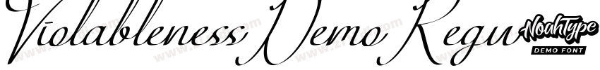 ViolablenessDemoRegu字体转换