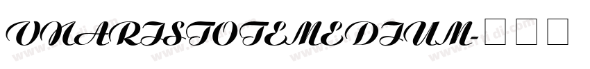 VnAristoteMedium字体转换
