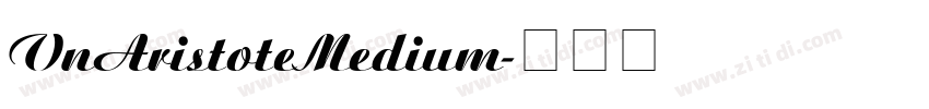 VnAristoteMedium字体转换