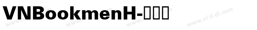 VNBookmenH字体转换