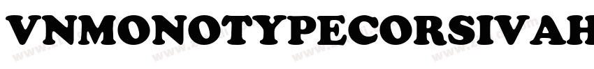 VnMonotypecorsivaH字体转换