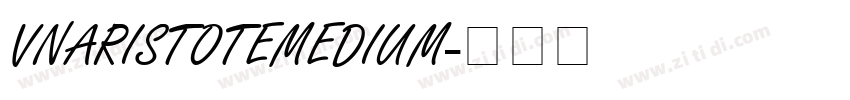 VnAristoteMedium字体转换