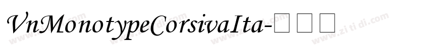 VnMonotypeCorsivaIta字体转换