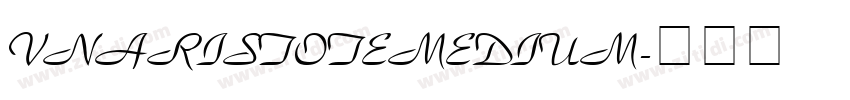 VnAristoteMedium字体转换