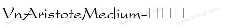 VnAristoteMedium字体转换