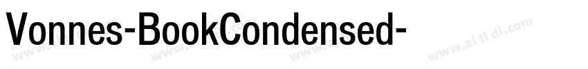 Vonnes-BookCondensed字体转换