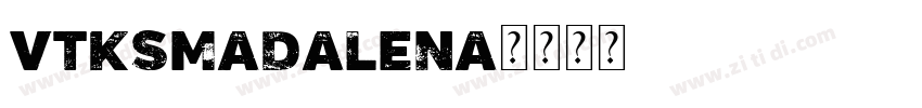 VtksMadalena字体转换