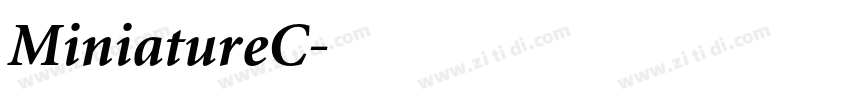 MiniatureC字体转换