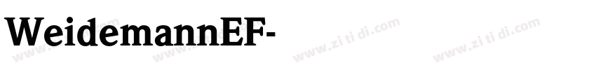 WeidemannEF字体转换