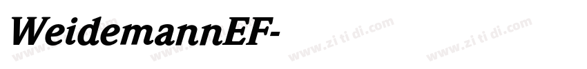 WeidemannEF字体转换