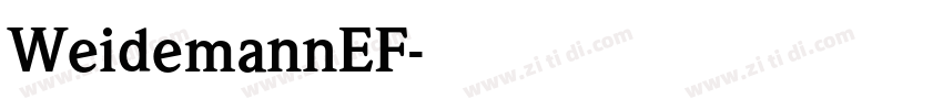 WeidemannEF字体转换