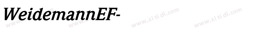 WeidemannEF字体转换