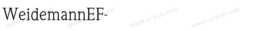 WeidemannEF字体转换