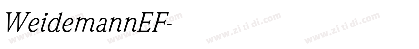 WeidemannEF字体转换
