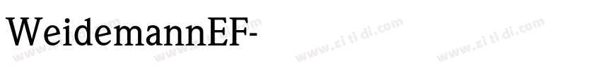 WeidemannEF字体转换