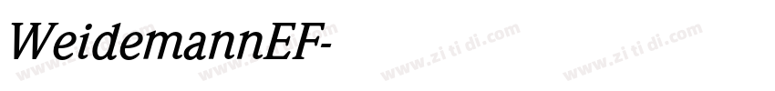WeidemannEF字体转换