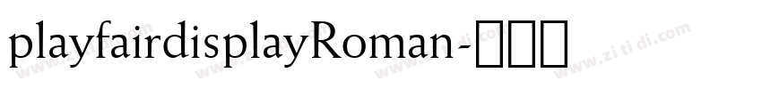 playfairdisplayRoman字体转换