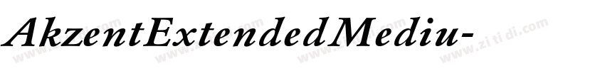 AkzentExtendedMediu字体转换