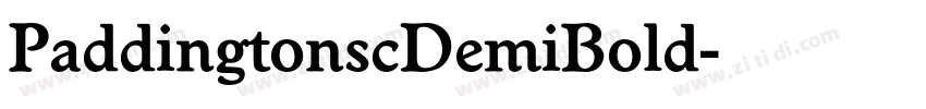 PaddingtonscDemiBold字体转换