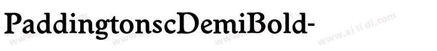 PaddingtonscDemiBold字体转换