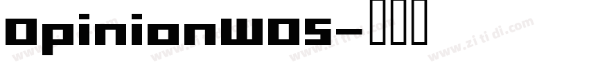 OpinionW05字体转换