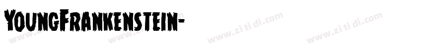YoungFrankenstein字体转换