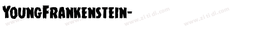 YoungFrankenstein字体转换