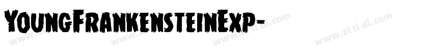 YoungFrankensteinExp字体转换