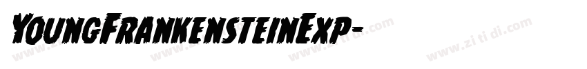 YoungFrankensteinExp字体转换