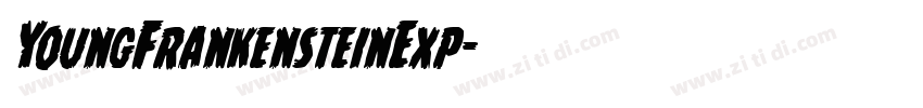YoungFrankensteinExp字体转换