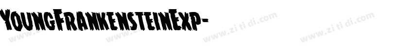 YoungFrankensteinExp字体转换