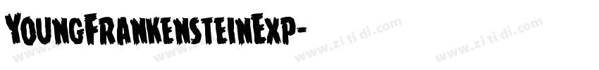 YoungFrankensteinExp字体转换