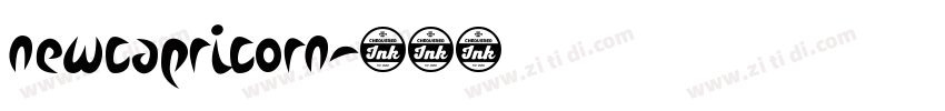 NewCapricorn字体转换