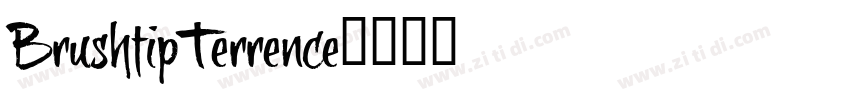 BrushtipTerrence字体转换