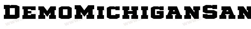DemoMichiganSans02字体转换