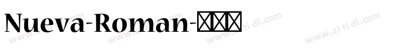 Nueva-Roman字体转换