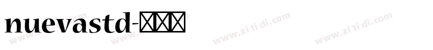 nuevastd字体转换