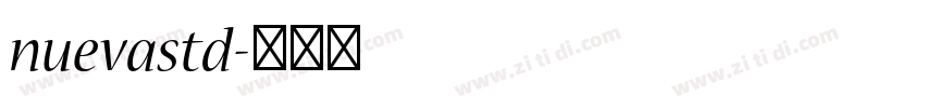 nuevastd字体转换