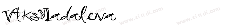 VtksMadalena字体转换