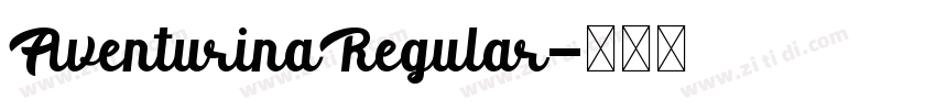 AventurinaRegular字体转换