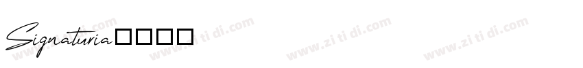 Signaturia字体转换