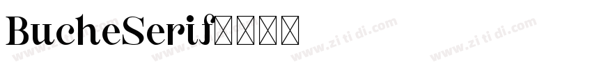 BucheSerif字体转换