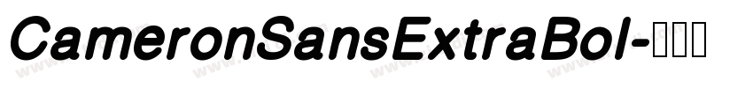 CameronSansExtraBol字体转换